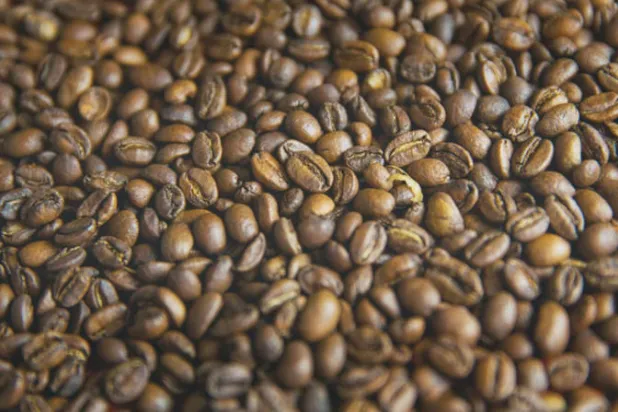 كشف أسرار 3 فوائد للقهوة