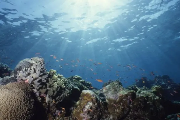 اكتشاف ملوثات بشرية بأعمق مكان على وجه الأرض