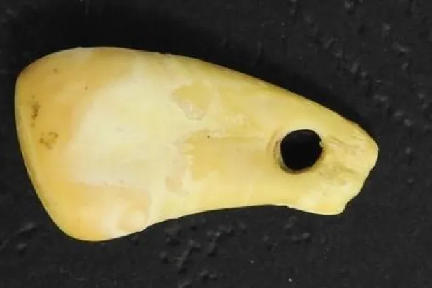 استرداد حمض نووي لامرأة عاشت قبل 20000 عام من خلال قلادتها