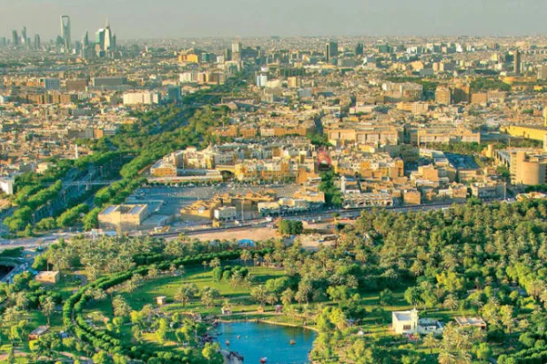 تكاثر الكائنات الفطرية المهددة بالانقراض إلى الضعف في السعودية