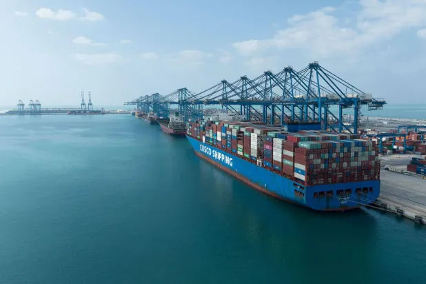 وزير التجارة الخارجية الإماراتي يؤكد أن برنامج اتفاقيات الشراكة الاقتصادية الشاملة يضمن - حتى الآن - الوصول إلى أسواق تضم ما يقارب ملياري نسمة (وام)