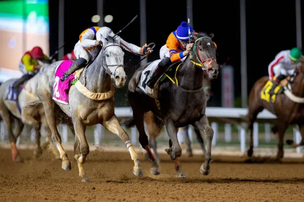 جوائز «كأس الأمير سلطان بن عبد العزيز» تبلغ مليون ونصف المليون دولار (نادي سباقات الخيل)