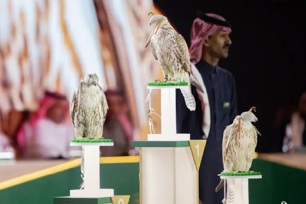 جانب من ختام مسابقة المزاين ضمن منافسات كأس العُلا للصقور (الشرق الأوسط)