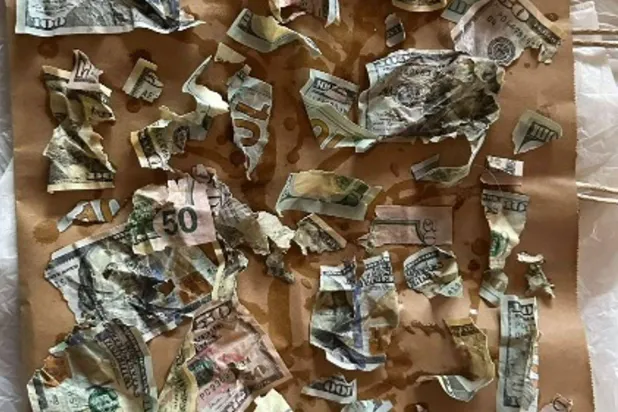 بقايا الأموال التي مضغها الكلب سيسيل (إنستغرام)