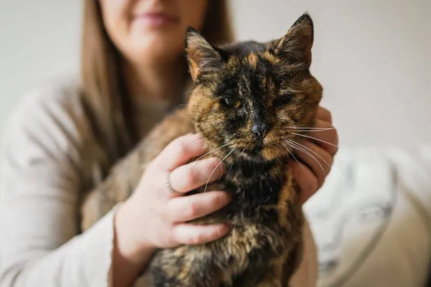 ثمة حب لا يمنحه سوى الحيوان الأليف (مواقع التواصل)