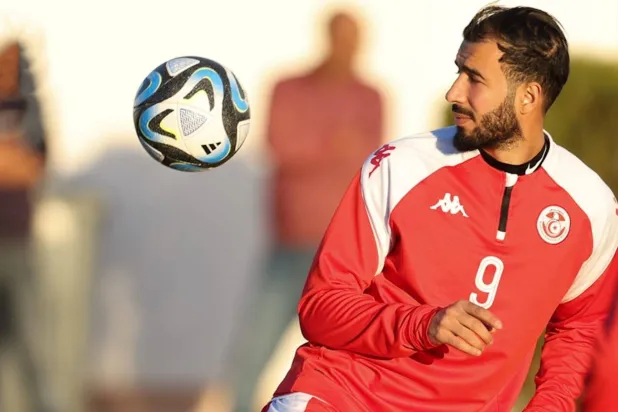 حققت تونس اللقب القاري مرة واحدة عام 2004 (المنتخب التونسي)