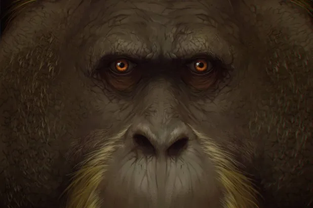 انطباع فني يُظهر وجه القرد العملاق (أ.ف.ب)
