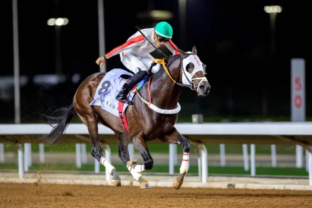 الجواد «باور ان نمبرز» لإسطبل أبناء الملك عبد الله (نادي سباقات الخيل)