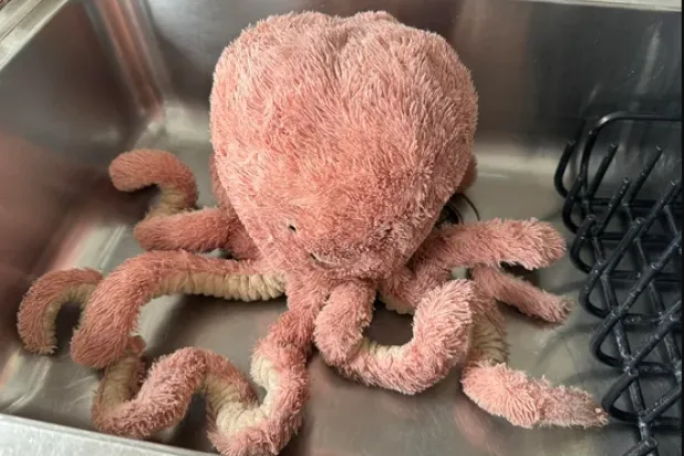 الأخطبوط العزيز بعد الاغتسال (أندرو إليوت)