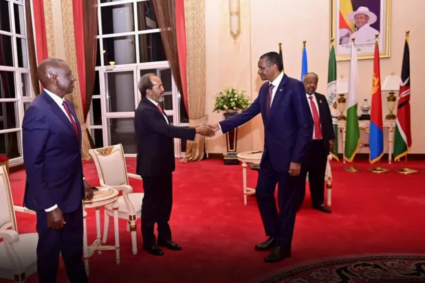 
Commander of the Rapid Support Forces (RSF) Mohamed Hamdan Dagalo with IGAD leaders (Dagalo's X account)