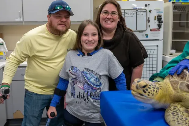 بعض اللقاءات بهجة خالصة (هيئة جزيرة جيكل)