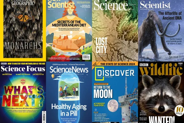 هل تستمر ظروف الطقس اللاهبة في صيف 2024؟