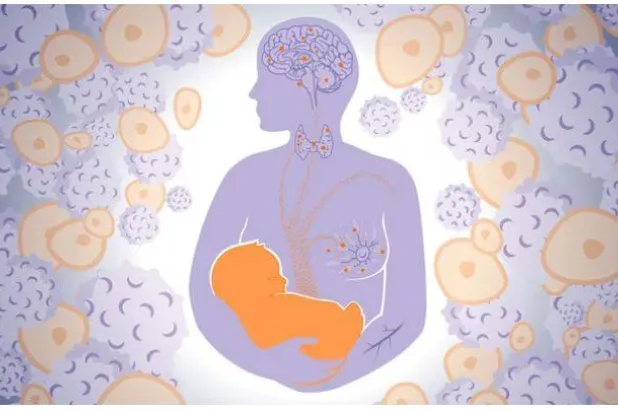 الخلايا الأكثر غموضاً في جسمنا لا تنتمي لنا