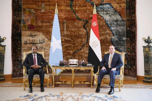 الرئيسان المصري والصومالي خلال جلسة مباحثات في القاهرة (الرئاسة المصرية)