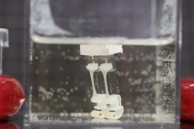 روبوت يمكنه المشي والدوران تحت الماء (جامعة طوكيو)