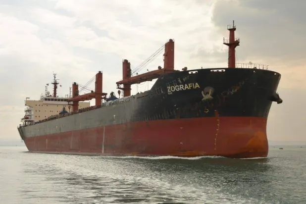 سفينة عملاقة تمر عبر قناة السويس المصرية (الموقع الإلكتروني لقناة السويس)