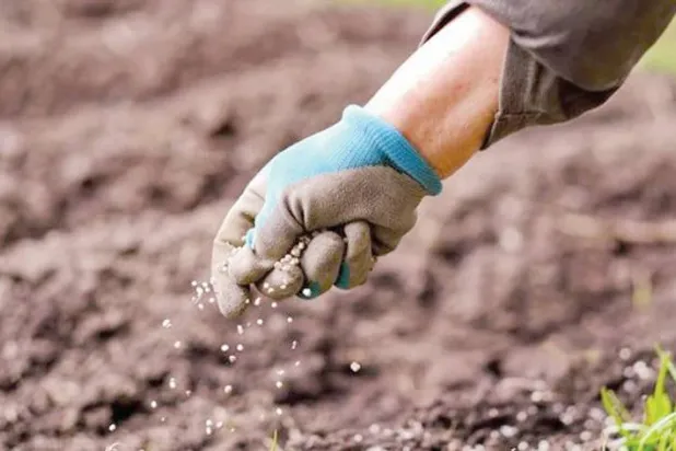  مزارع يرمي السماد في أرض زراعية (غيتي)