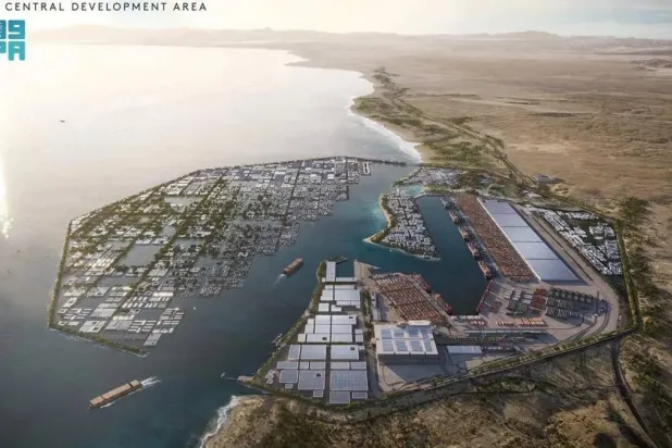 ميناء نيوم (واس)