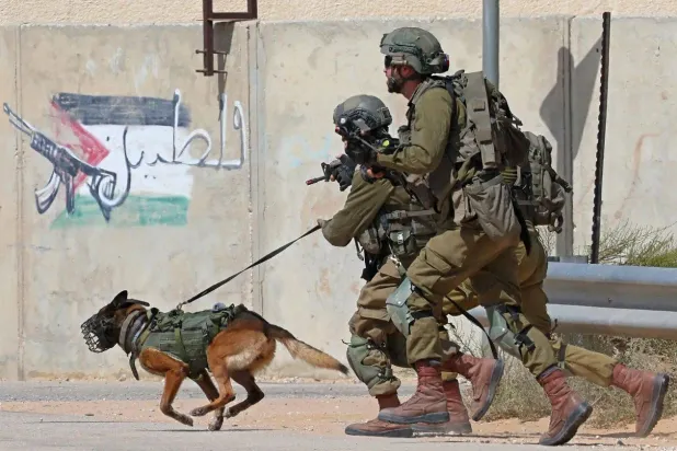 تعتمد إسرائيل على الكلاب بشكل كبير في حربها على غزة (أ.ف.ب)