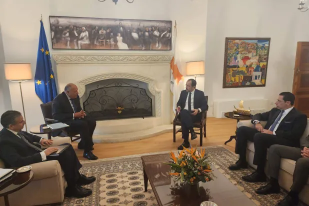 الرئيس القبرصي خلال محادثات مع سامح شكري (الخارجية المصرية)