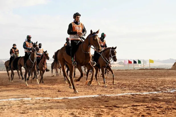 جانب من سباق خادم الحرمين للقدرة والتحمل في العلا (واس)