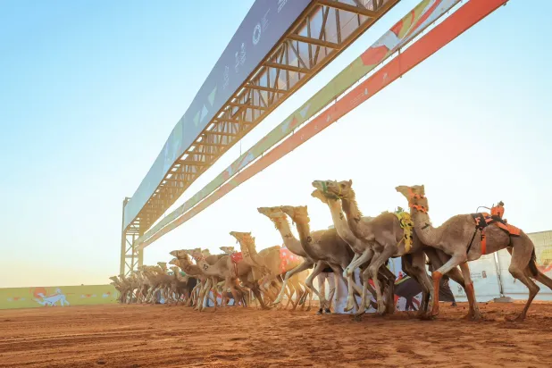 «جائزة سيف خادم الحرمين الشريفين» تعدّ الأكثر نقاطاً (وزارة الرياضة)