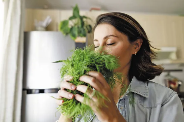 الروائح تثير ذكريات تبدو حية وحقيقية لدى الأصحاء (جامعة هارفارد)