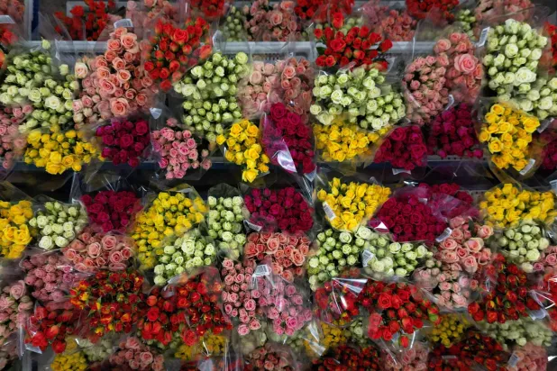 تصدّر كولومبيا الزهور إلى نحو 100 دولة (أ.ف.ب)