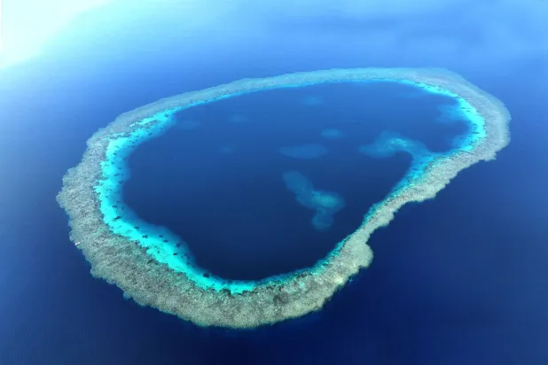 The recently discovered blue holes in the Red Sea. (Saudi National Center for Wildlife)