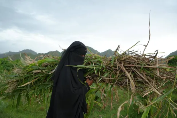 اليمنية سلامة يوسف تعمل في مزرعتها بعد إصلاحها (الأمم المتحدة)