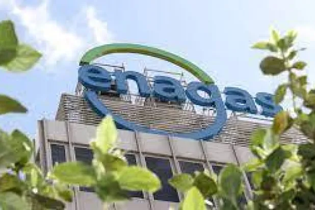 أرباح «إيناغاز» المحققة تجاوزت التوقعات رغم تراجعها (موقع الشركة)