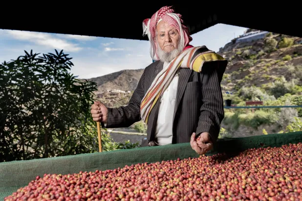 زراعة البن مهنة توارثتها الأجيال في جنوب السعودية (الشرق الأوسط)