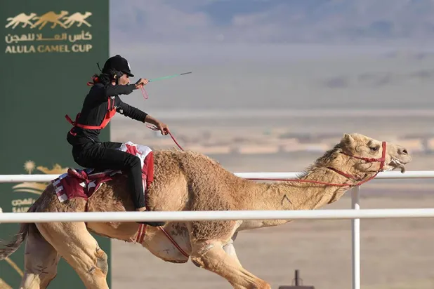 جانب من سباقات الهجن في العُلا (واس)