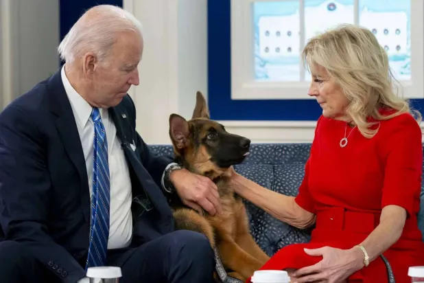 Biden'ın saldırganlığıyla bilinen köpeğinin en az 24 Gizli Servis personelini ısırdığı ortaya çıktı