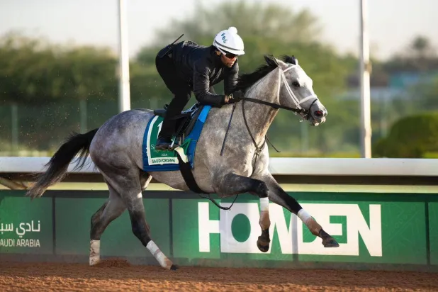 من استعدادات أحد الخياله للسباق الكبير (الشرق الأوسط)