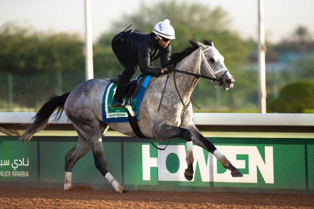 برعاية الملك سلمان... «كأس السعودية» تنطلق اليوم وسط منافسة «عالمية»