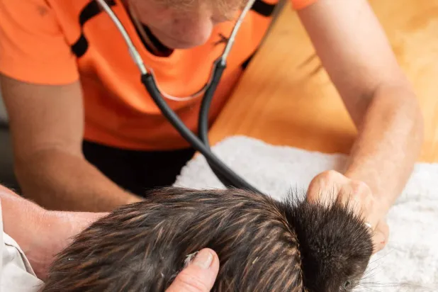 الرأفة هي كل شيء (أ.ف.ب)