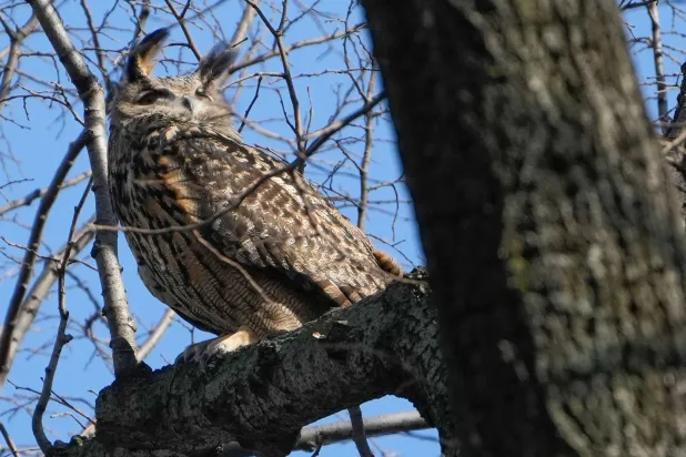 الهروب المُكلِف (أ.ب)  