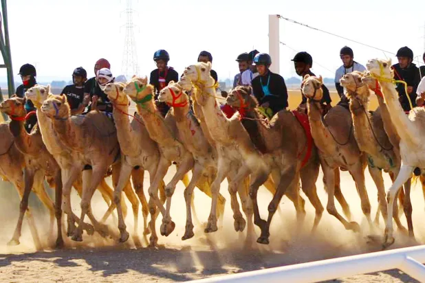 جانب من منافسات المرحلة التمهيدية لدوري هجان 2024 (الشرق الأوسط)