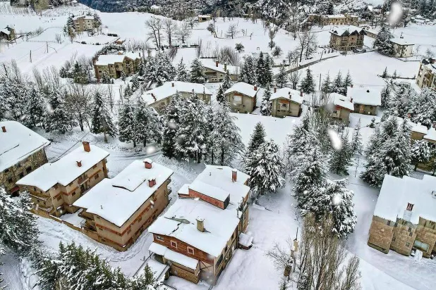 الأرز بعظمته مغموراً بالثلوج (الأب إيلي قرقماز)