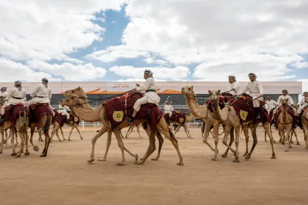 مسيرة الهجانة السلطانية المشاركة في مهرجان جادة الإبل بحائل (الشرق الأوسط)