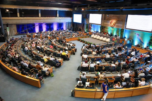 جانب من جلسة مجموعة النقاش الأولى (ENB)