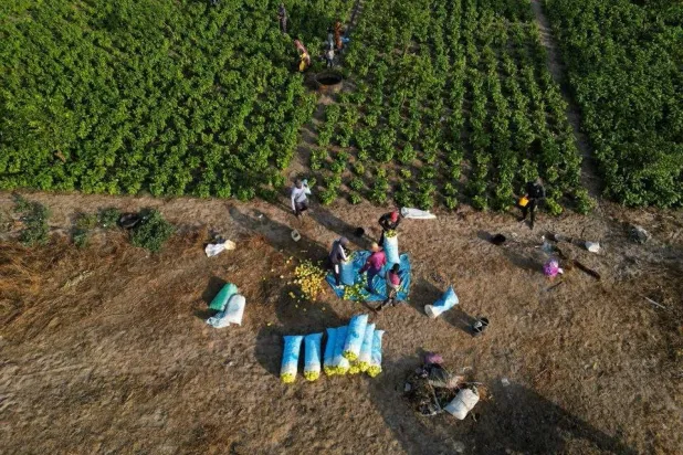 تحقيق الأمن الغذائي في أفريقيا يستلزم ضمان توفير أغذية آمنة (رويترز)