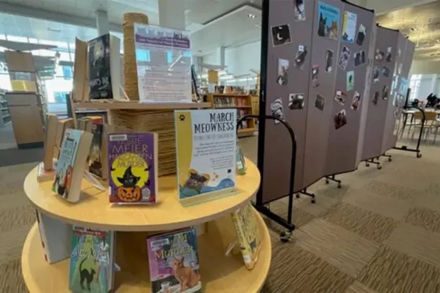 صور للقطة الشخصية داخل المكتبة (نيويورك بوست)