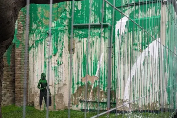 طلاء أبيض تناثر فوق الجدار (مات ماكينا)