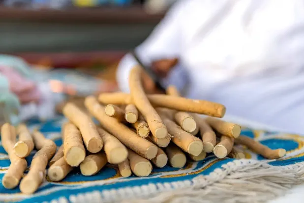 الحرمان المكي والمدني تعد أكبر أسواق السواك على الإطلاق وتزيد خلال رمضان (واس)