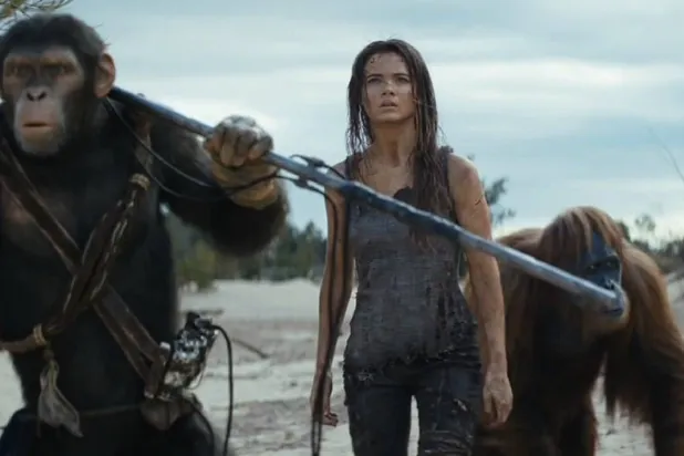  «مملكة كوكب القردة» (ديزني).