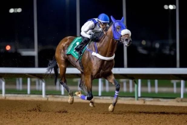 الجواد سكوت لاند يارد لمالكه الأمير سعود بن سلمان (الشرق الأوسط)