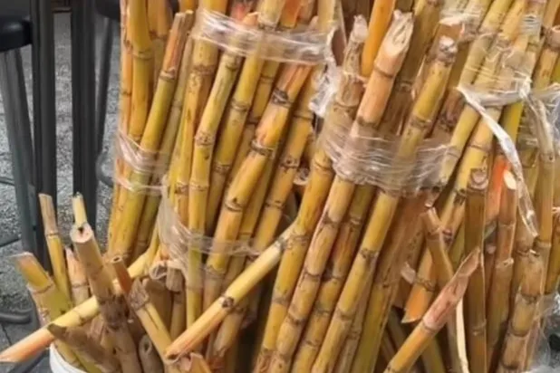 عصير قصب السكر جديد العصائر في رمضان (إنستغرام)