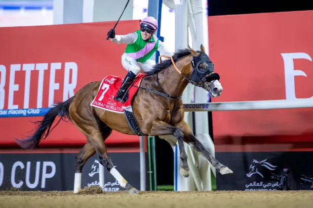 الجواد «لوريل ريفر» ظفر بلقب السباق الكبير (الشرق الأوسط)